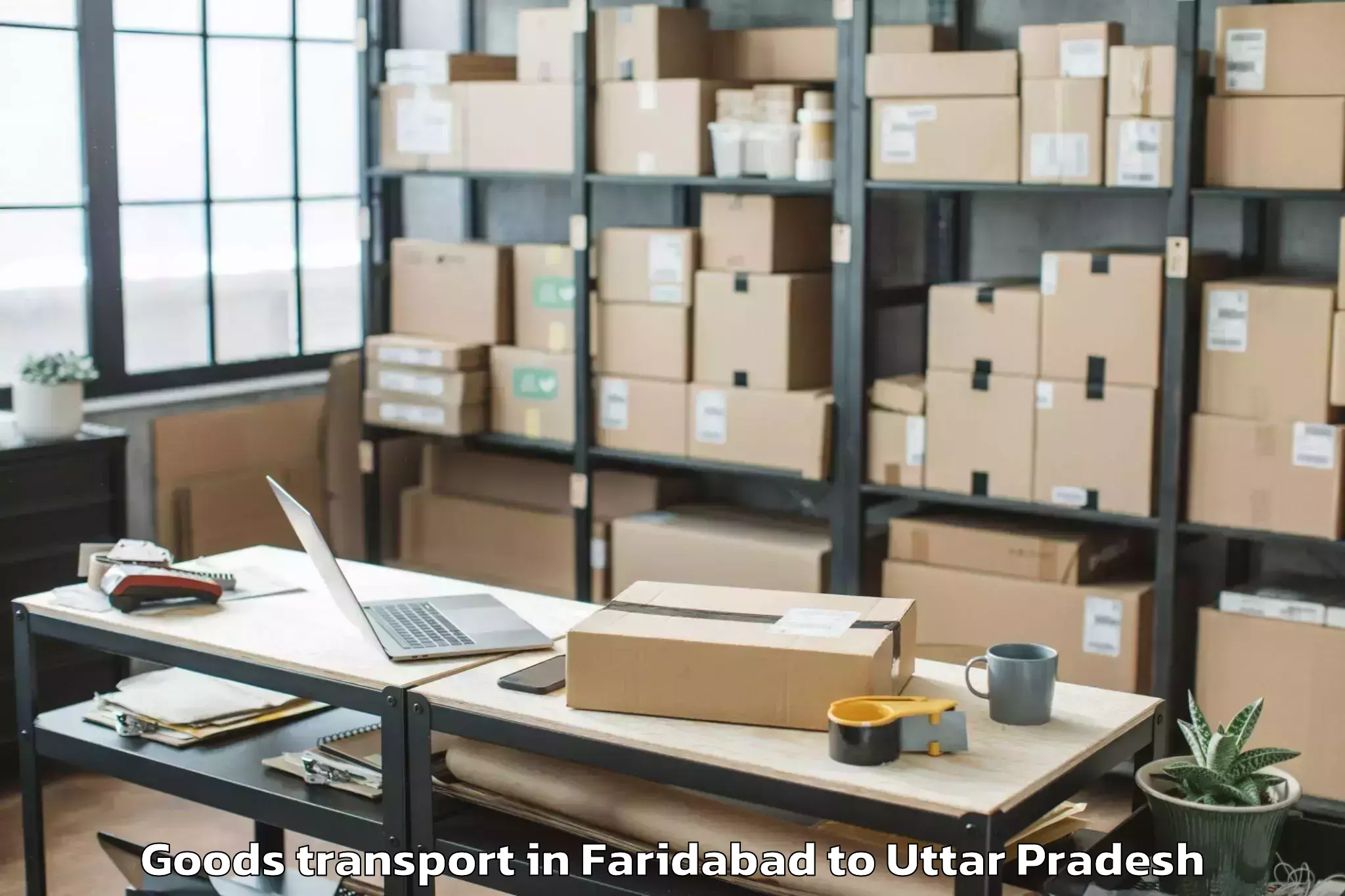 Leading Faridabad to Bilthra Goods Transport Provider